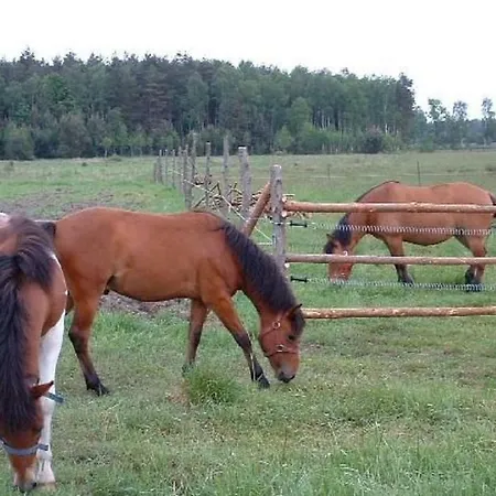 Lesna * Osiecznica (Boleslawiec)