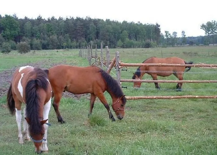 Leśna * Osiecznica (Boleslawiec)
