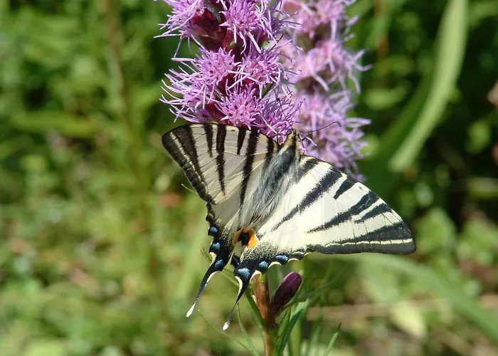 Κατάλυμα σε φάρμα Lesna
